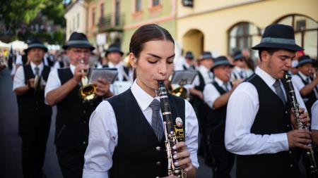 Izjemen obisk zaznamoval 50. Dneve narodnih noš in oblačilne dediščine v Kamniku (Blaž T. Muc)  (119)